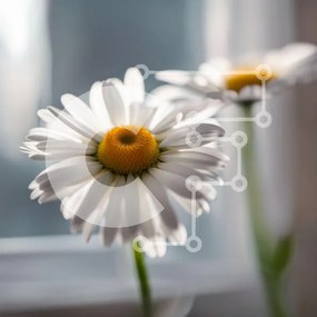 Intra Συλλεκτικό Ξύλινο Παζλ Plywood 4mm - Όμορφη εικόνα δύο μαργαριτών σε ένα ηλιόλουστο περβάζι Σε Ξύλινο Κουτί - Διαστάσεις: 10x10 cm – 25 κομμάτια