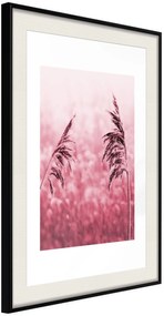 Αφίσα - Amaranth Meadow - 30x45 - Μαύρο - Με πασπαρτού