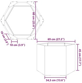 Ζαρντινιέρα Κήπου Εξάγωνη 69x60x45 εκ. Ανοξείδωτο Ατσάλι - Ασήμι