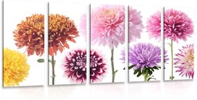 Εικόνα 5 τμημάτων λουλούδια ντάλια σε διάφορα σχέδια - 100x50