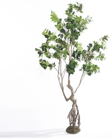 Supergreens Τεχνητό Δέντρο Φίκος Ginseng Πράσινο 250 εκ