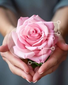 Intra Συλλεκτικό Ξύλινο Παζλ Plywood  4mm - Δύο χέρια που κρατούν το ροζ τριαντάφυλλο Σε Ξύλινο Κουτί - Διαστάσεις Puzzle: 10x10 cm – 25 κομμάτια