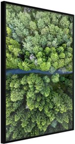 Αφίσα - Forest from a Bird's Eye View - 30x45 - Μαύρο - Χωρίς πασπαρτού