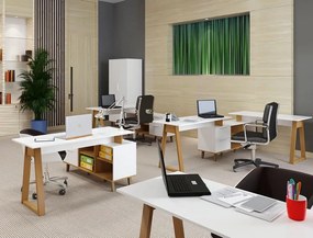 Σύνθεση Γραφείου Neptune Σετ 3τμχ Λευκό-Σονόμα TO-NEPTUNESET5