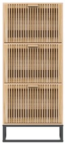 vidaXL Παπουτσοθήκη 52 x 25 x 120 εκ. από Επεξεργασμένο Ξύλο