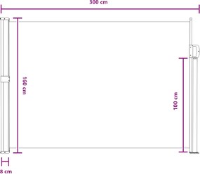 vidaXL Ανακλινόμενος Πλευρικός Απλώστρα 160 x 300 cm