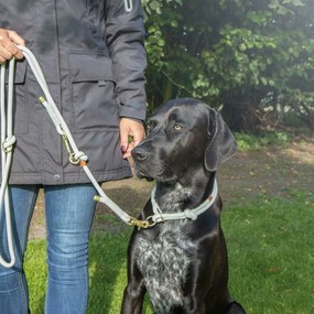 Κολάρο Εκπαίδευσης Σκύλων Trixie Soft Rope Πράσινο Μέντα M 45 cm