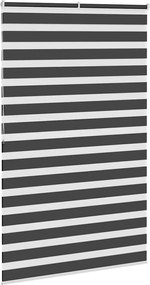 vidaXL Ζέβρα τυφλή Μαύρο Πλάτος υφάσματος 145,9 εκ. Πολυεστέρας