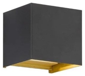 Απλίκα Φωτιστικό Τοίχου LED Μαύρο-Χρυσό Thore 30339 Fischer Honsel-30339-Μαύρο-Χρυσό 30339