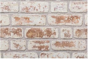vidaXL Πάνελ τοίχου 10 pcs Κόκκινο και Λευκό 100 x 50 cm Αφρός EPS