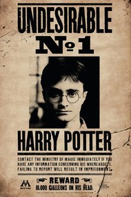 Αφίσα Harry Potter - Undersirable No.1