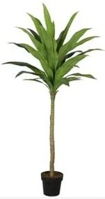 Supergreens Τεχνητό Δέντρο Δράκαινα 170 εκ. - 7130-6 - 7130-6