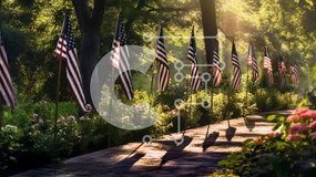 Intra Συλλεκτικό Ξύλινο Παζλ Plywood 4mm - Sunny Park Pathway επενδεδυμένο με αμερικανικές σημαίες Σε Ξύλινο Κουτί - Διαστάσεις Puzzle: 10x10 cm – 25 κομμάτια