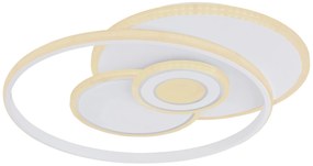 Φωτιστικό Οροφής Globo Lighting RODERICK 48442-50SH 2700 - 6000K