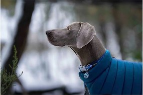 Παλτό Σκύλου Red Dingo Puffer Τυρκουάζ 30 cm