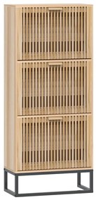 vidaXL Παπουτσοθήκη 52 x 25 x 120 εκ. από Επεξεργασμένο Ξύλο
