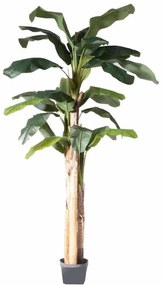 Τεχνητό Δέντρο Μπανανιά 1190-6 250cm Green Supergreens Πολυαιθυλένιο