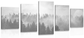 Εικόνα 5 μερών ομίχλη πάνω από το δάσος σε ασπρόμαυρο