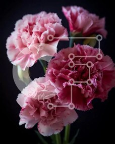 Σετ των 2 Intra Συλλεκτικό Ξύλινο Παζλ Plywood 4mm - Τρία ροζ γαρίφαλα σε γυάλινο βάζο Σε Ξύλινο Κουτί - Διαστάσεις: 10x10 cm – 25 κομμάτια