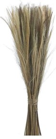 Μπουκέτο Αποξηραμένα Κλαδιά 3-85-483-0003 100cm Natural Inart