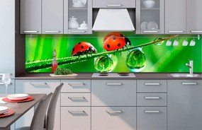 Αυτοκόλλητη φωτοταπετσαρία για πασχαλίτσες κουζίνας - 260x60