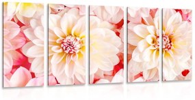 Εικόνα 5 τμημάτων παστέλ λουλούδια ντάλια - 200x100