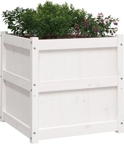 vidaXL Ζαρντινιέρες 2 τεμ. Λευκό από Μασίφ Ξύλο Πεύκου