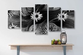 5 μέρη εικόνα λουλούδια σε ασπρόμαυρο φόντο - 200x100