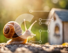 Intra Συλλεκτικό Ξύλινο Παζλ Plywood 4mm - Σαλιγκάρι που σέρνεται μπροστά από ένα μικρό σπίτι Σε Ξύλινο Κουτί - Διαστάσεις: 10x10 cm – 25 κομμάτια