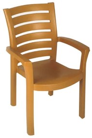 ΚΑΡΕΚΛΑ ΠΛΑΣΤΙΚΗ SKG MARINA TEAK