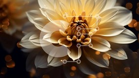 Intra Συλλεκτικό Ξύλινο Παζλ Plywood 4mm - Μεγάλο κίτρινο λουλούδι με χρυσά φώτα Bokeh Σε Ξύλινο Κουτί - Διαστάσεις: 10x10 cm – 25 κομμάτια