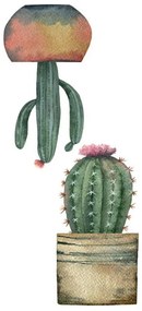 Διακοσμητικά αυτοκόλλητα τζαμιού Cactus S