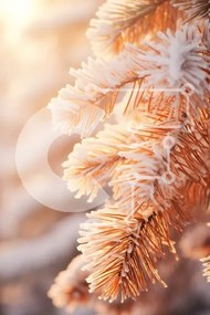 Σετ των 2 Intra Συλλεκτικό Ξύλινο Παζλ Plywood  4mm - Κοντινή όψη ενός χιονισμένου κλάδου πεύκου Σε Ξύλινο Κουτί - Διαστάσεις: 10x10 cm – 25 κομμάτια