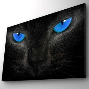 Πίνακας Καμβάς Με Φως Led 239SHN3294 70x45cm Multi Wallity Οριζόντιοι Ξύλο, Καμβάς