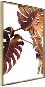 Αφίσα - Copper Monstera - 40x60 - Χρυσό - Χωρίς πασπαρτού