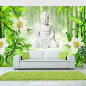 Φωτοταπετσαρία - Buddha and nature 300x210