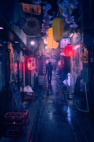 Φωτογραφία Tokyo Blue Rain, Javier de la