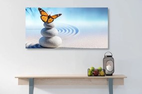 Εικόνα ισορροπίας πέτρες και πεταλούδας - 100x50