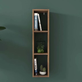 Βιβλιοθήκη Τοίχου 3 Θέσεων (22x18.5x90) A-G 893RAN2309 Walnut