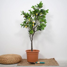 Γλάστρα 15Lt (Φ35x26) Viomes Cylindro 983 Τερακότα,Καφέ