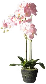 Supergreens Τεχνητό Φυτό Ορχιδέα Phalaenopsis Real Touch Ροζ με Βάση Moss 85 εκ.