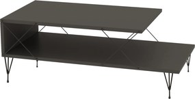 Τραπεζάκι Σαλονιού Ανθρακί FLOFO 100x50x40