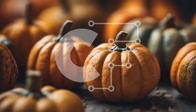 Intra Συλλεκτικό Ξύλινο Παζλ Plywood 4mm - Συγκομισμένες κολοκύθες σε φθινοπωρινό σκηνικό Σε Ξύλινο Κουτί - Διαστάσεις: 10x10 cm – 25 κομμάτια