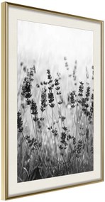 Αφίσα - Shadow of Meadow - 30x45 - Χρυσό - Με πασπαρτού