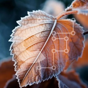 Intra Συλλεκτικό Ξύλινο Παζλ Plywood 4mm - Close-up παγωμένο φύλλο Σε Ξύλινο Κουτί - Διαστάσεις: 10x10 cm – 25 κομμάτια