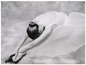 Φωτοταπετσαρία - photo: ballerina 400x309