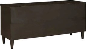 vidaXL Ντουλάπι TV Μαύρο και Χρυσό 100 x 33 x 46 εκ Επεξεργασμένο ξύλο