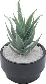 Τεχνητό Φυτό σε Μοντέρνο Μαύρο Κεραμικό Γλαστράκι 8x14cm