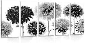 Πεντάμερη εικόνα λουλούδια ντάλια σε διάφορα σχέδια σε ασπρόμαυρο - 100x50