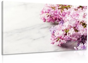 Εικόνα όμορφα λουλούδια σε μαρμάρινο φόντο - 60x40